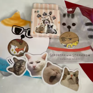 Craft Stickers